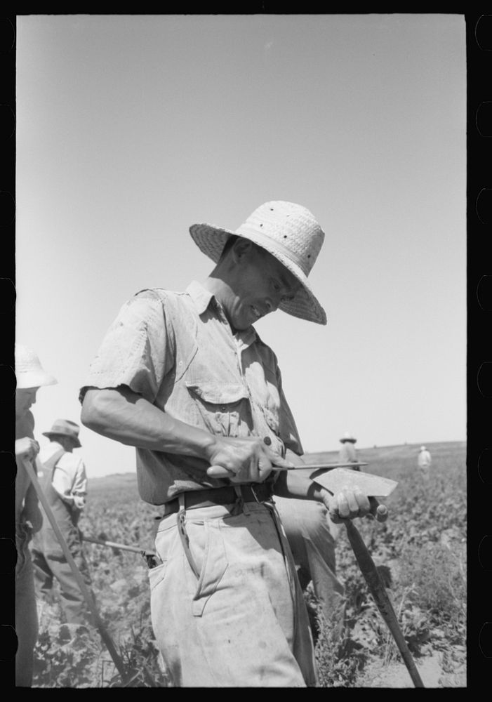 Nyssa, Oregon. FSA (Farm Security Administration) mobile camp. A Japanese-American farm worker sharpening a hoe by Russell…