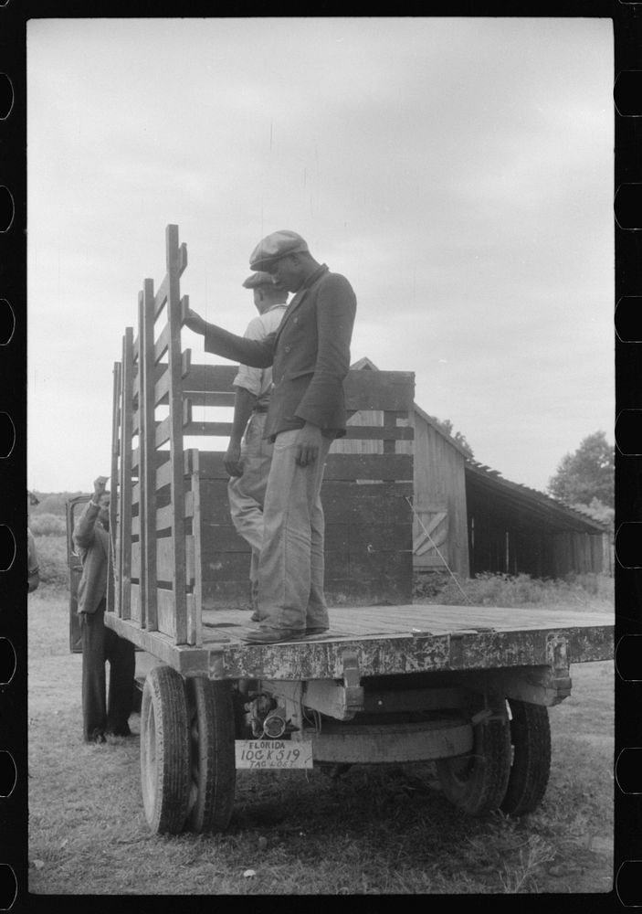 Migrants getting truck ready to leave Belcross, North Carolina for Onley, Virginia. Sourced from the Library of Congress.