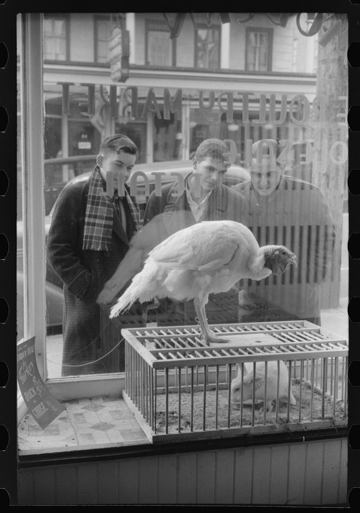 A butcher shop window. Norwich, Connecticut. Sourced from the Library of Congress.