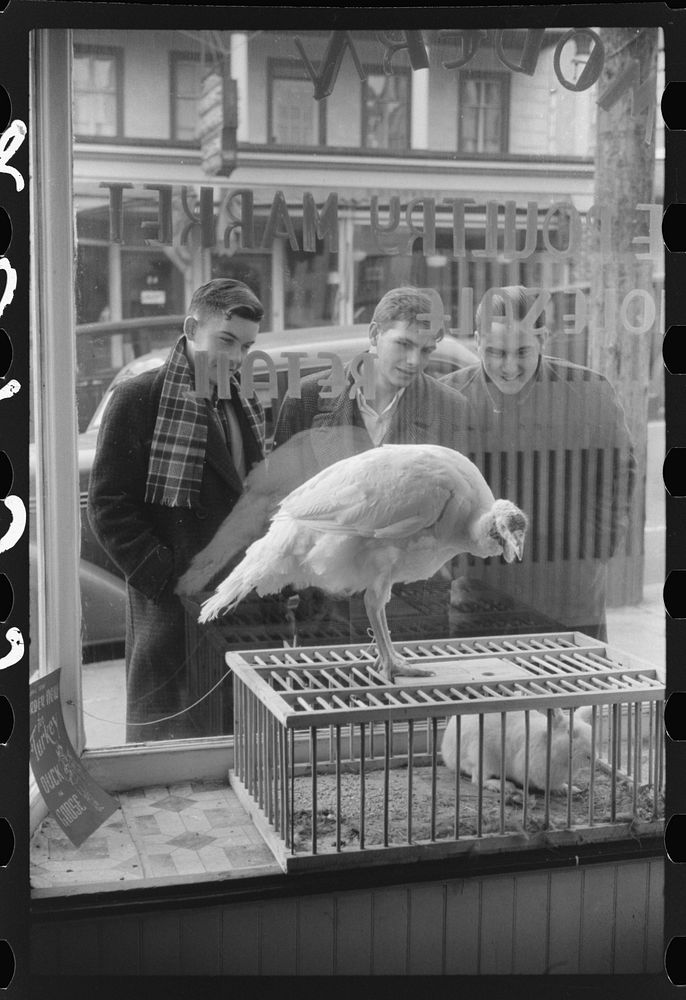 [Untitled photo, possibly related to: A butcher shop window. Norwich, Connecticut]. Sourced from the Library of Congress.
