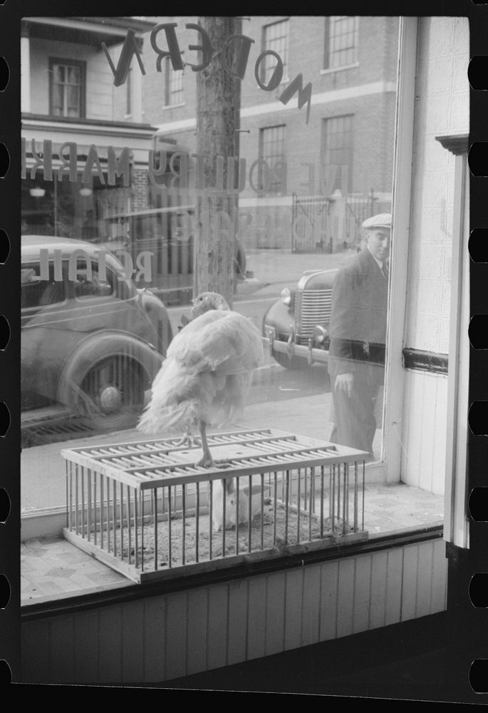 [Untitled photo, possibly related to: A butcher shop window. Norwich, Connecticut]. Sourced from the Library of Congress.