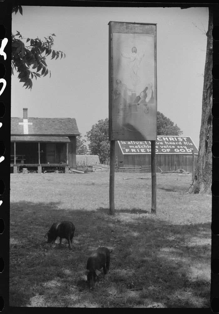 [Untitled photo, possibly related to: A religious arbor in Eutaw, Alabama]. Sourced from the Library of Congress.