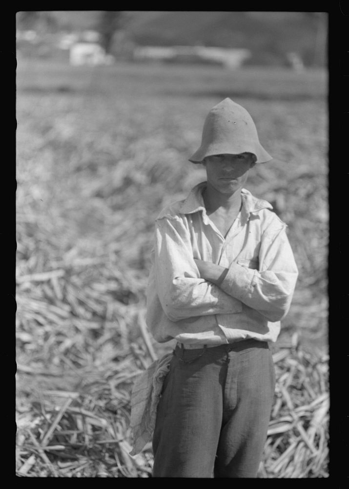 [Untitled photo, possibly related to: Farm laborer who works in the sugar fields near Yauco, Puerto Rico]. Sourced from the…
