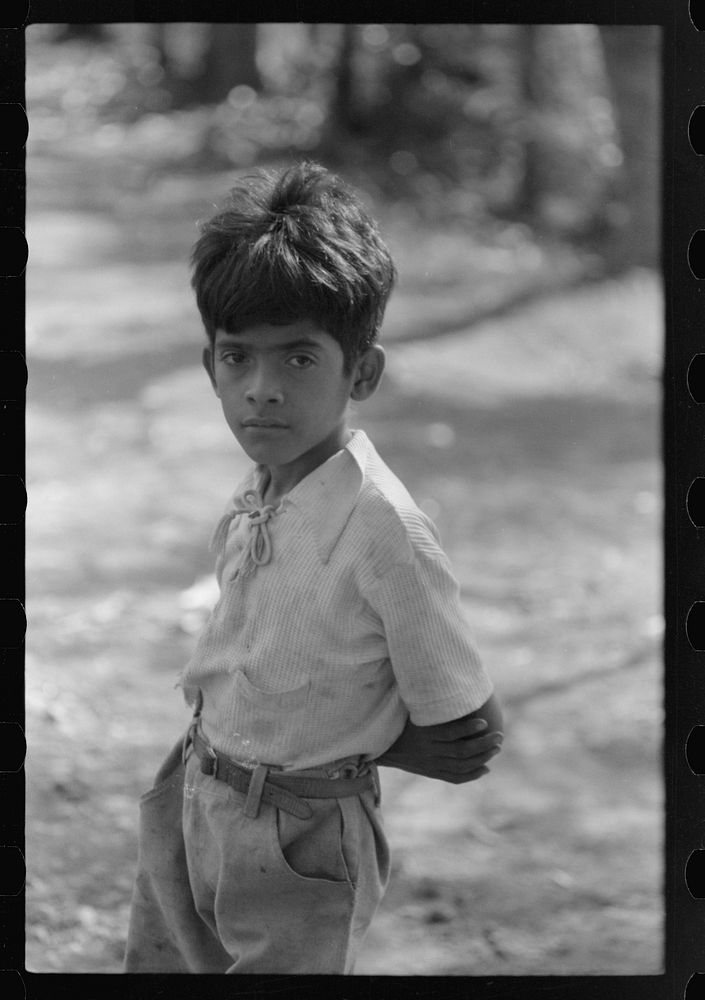 [Untitled photo, possibly related to: Farmer's son near the cane fields near Guanica, Puerto Rico]. Sourced from the Library…