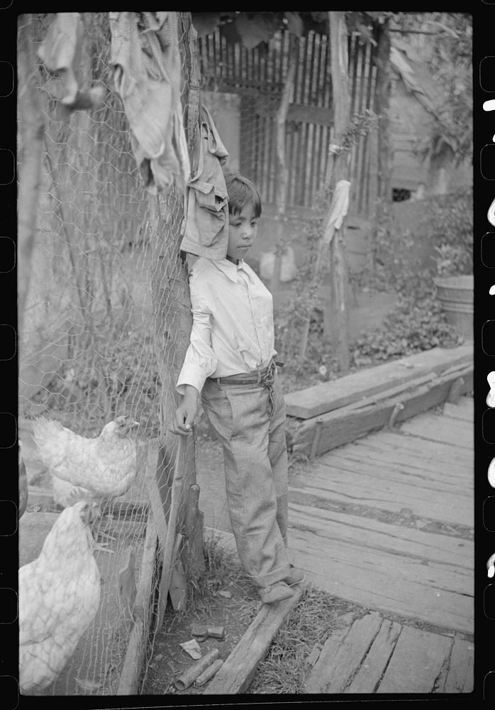 Son of Mexican miner in backyard, Scotts Run, Bertha Hill, West Virginia. Sourced from the Library of Congress.