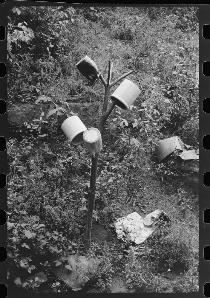 The "milk tree" earthenware crocks for milk kept outdoors. Jere, West Virginia. Sourced from the Library of Congress.