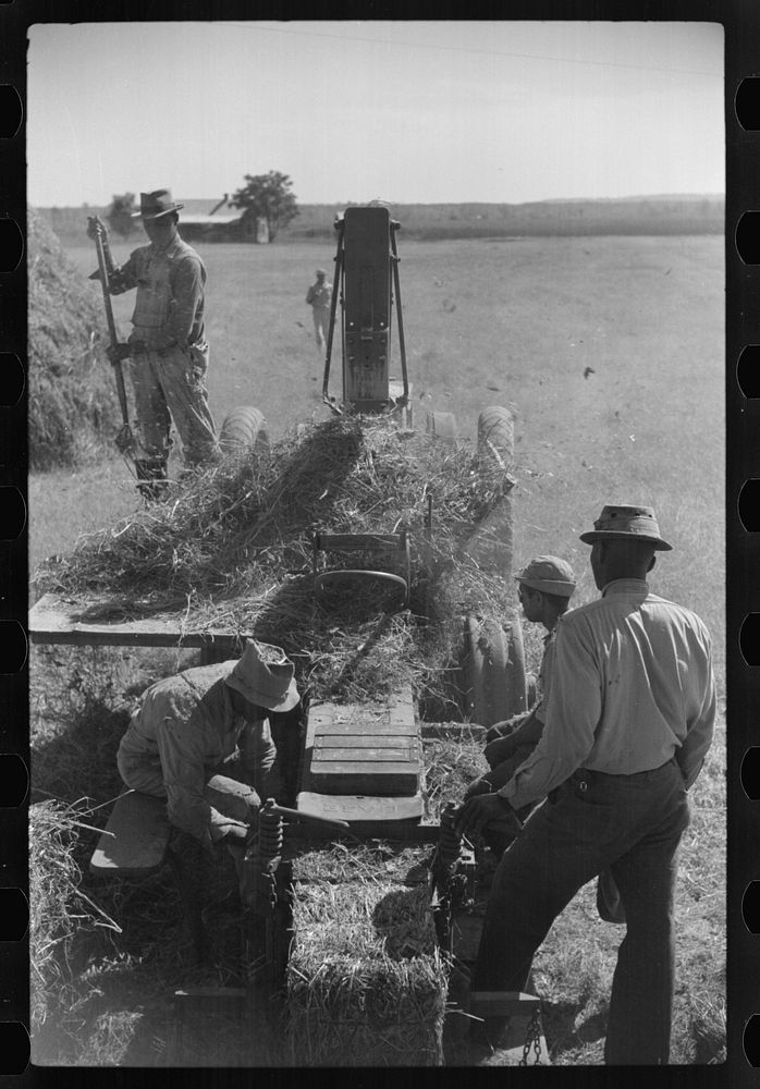 [Untitled photo, possibly related to: Baling hay on Marcella Plantation, Mileston, Mississippi Delta, Mississippi]. Sourced…