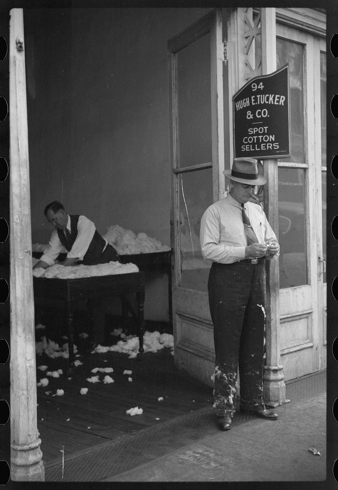 Cotton on trousers of cotton broker in classing and sampling room in office of Cotton Row, Front Street, Memphis, Tennessee.…