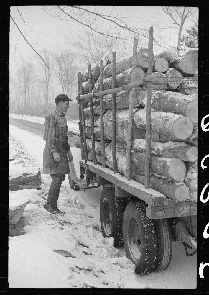 [Untitled photo, possibly related to: Lumberman hauling logs to the mill in truck, near Littleton, New Hampshire]. Sourced…