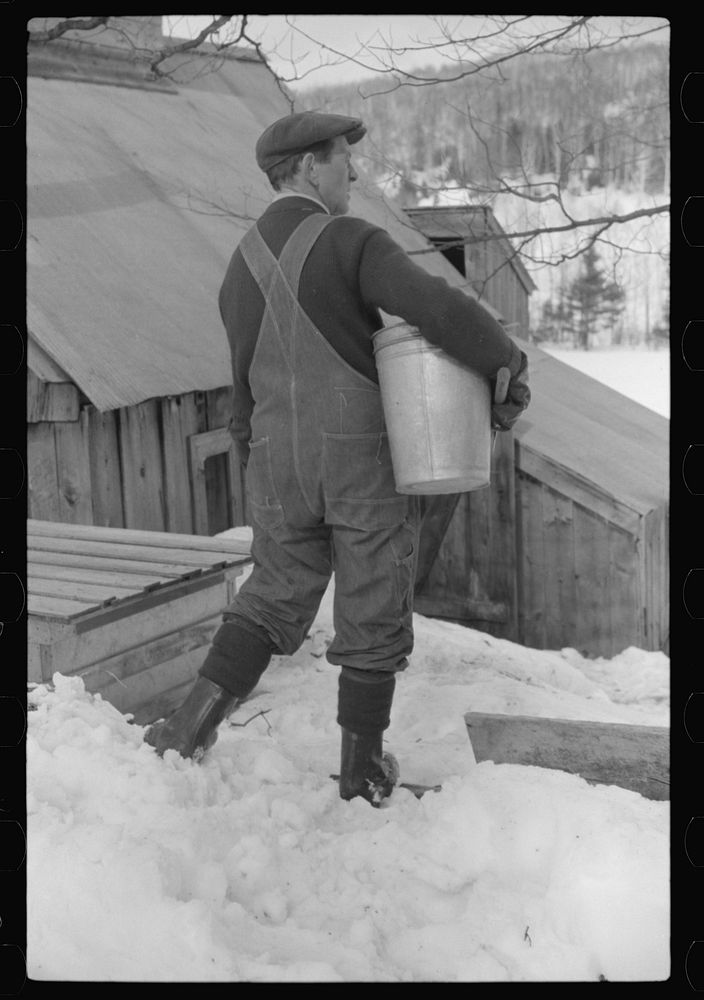 [Untitled photo, possibly related to: Bucket for gathering sap from maple sugar tree and stack of wood needed in boiling sap…