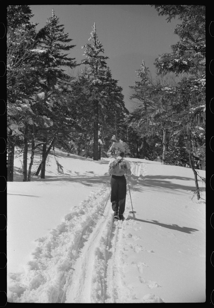 [Untitled photo, possibly related to: Ski trail on way up Mount Mansfield, Smuggler's Notch, near Stowe, Vermont]. Sourced…