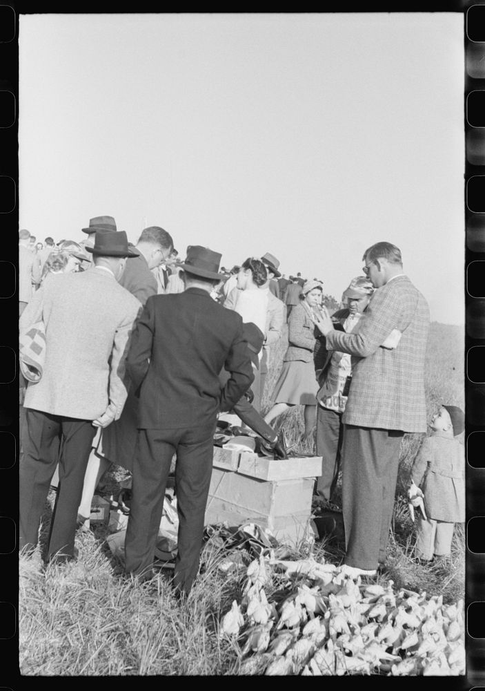 [Untitled photo, possibly related to: Spectators at horse races, Warrenton, Virginia]. Sourced from the Library of Congress.