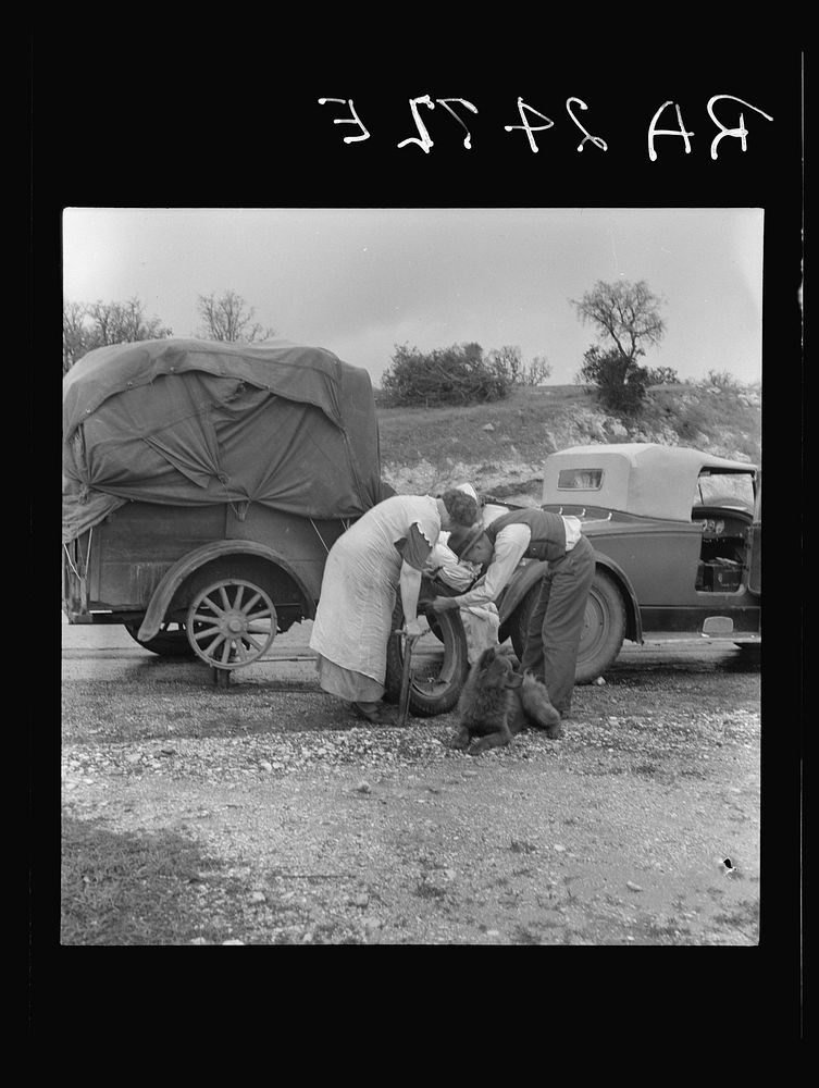Migrant pea pickers on the road. California. Sourced from the Library of Congress.