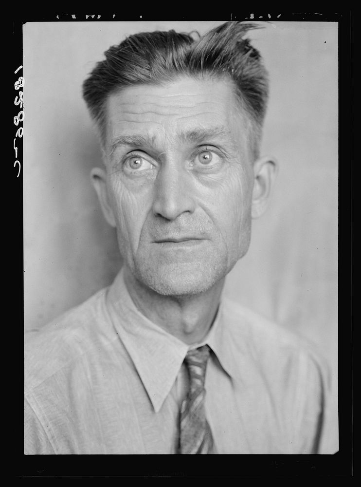 FSA/8b38000/8b38600\8b38695a.tif. Sourced from the Library of Congress.