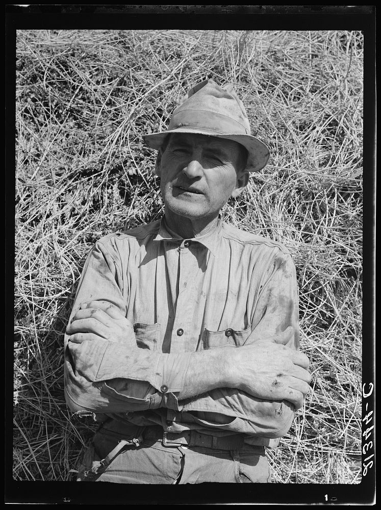 E.E. Botner, FSA (Farm Security Administration) borrower. "We took it from the raw." Nyssa Heights, Malheur County, Oregon.…