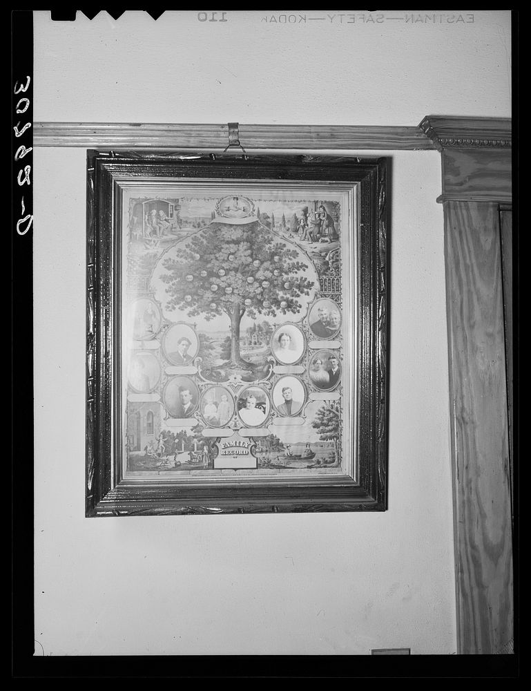 Framed "family tree" record in farmhouse near Epping. Williams County, North Dakota by Russell Lee