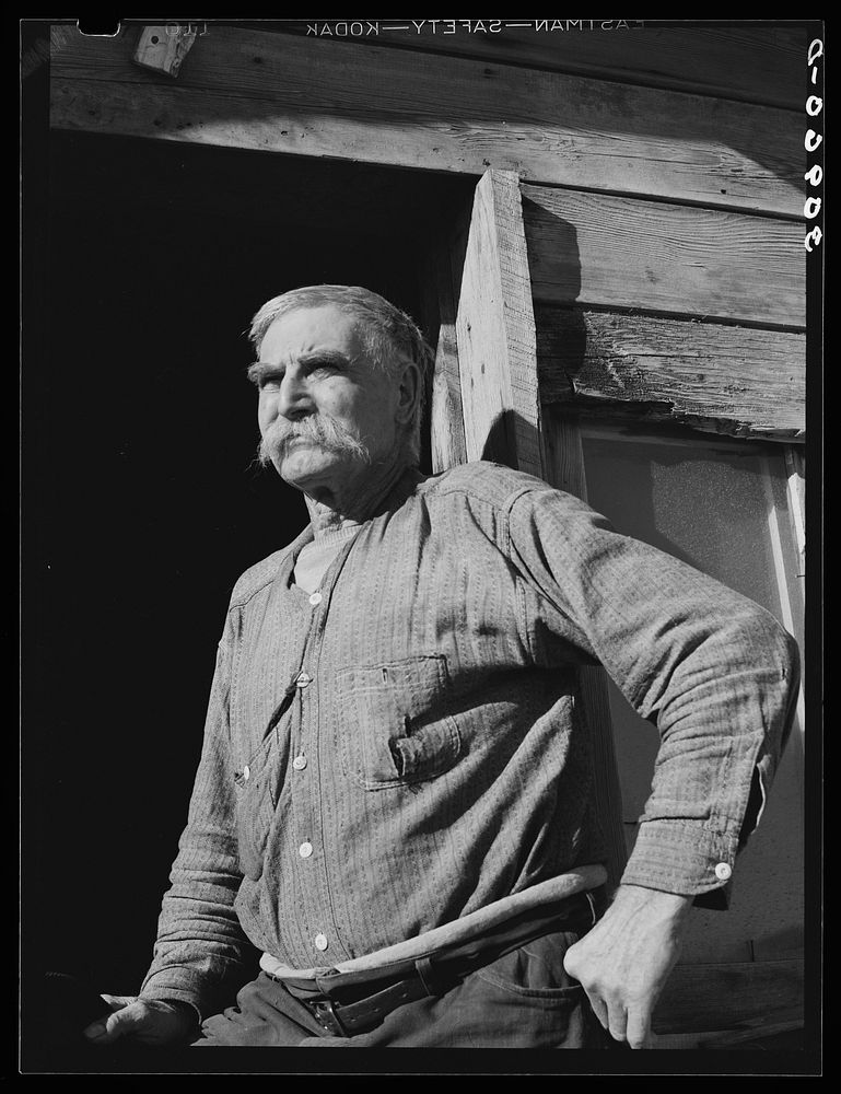 [Untitled photo, possibly related to: Elmer "Hominy" Thompson, old timer of Sheridan County, Montana] by Russell Lee