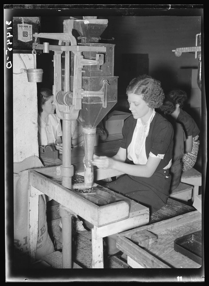 Filling cellophane sacks from automatic weighing machines. Abbeville, Louisana by Russell Lee