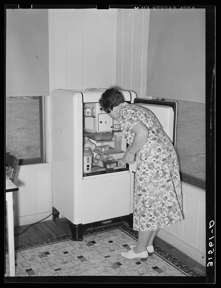 Housewife removing articles from electric refrigerator in farm home. Lake Dick Project, Arkanas by Russell Lee