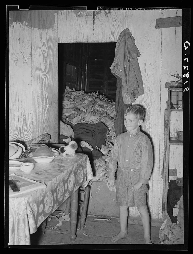 [Untitled photo, possibly related to: Son of the Adams family, Morganza, Louisiana, in kitchen with corn crib in the rear…