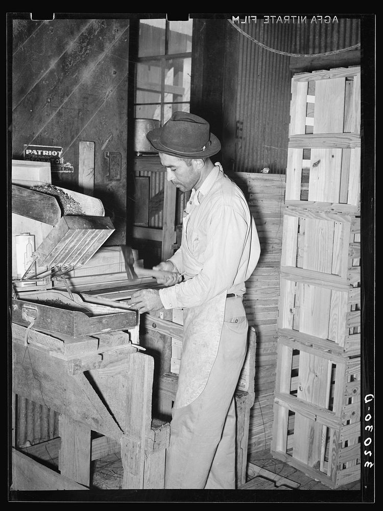 Mexican crate maker. Cabbage packing plant, Alamo, Texas by Russell Lee