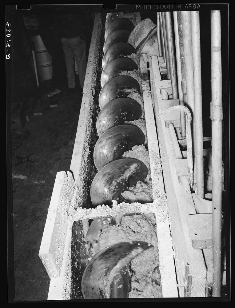 Screw conveyor carrying grapefruit pulp to drier. This pulp is marketed as cattle food. Weslaco, Texas by Russell Lee