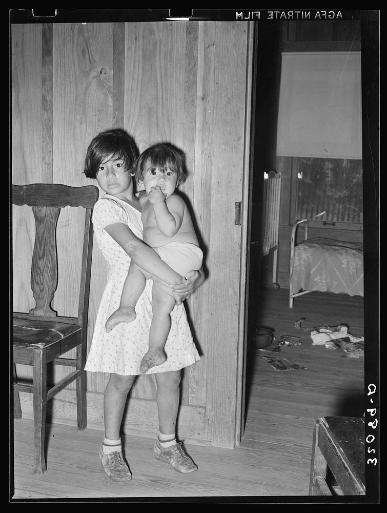 Children of Mexican farm owner. Hidalgo County, Texas by Russell Lee