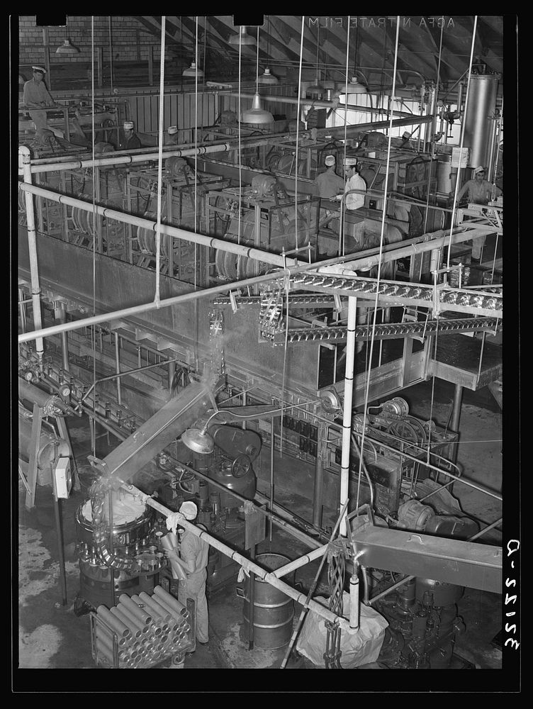 [Untitled photo, possibly related to: General view of grapefruit canning plant. Weslaco, Texas] by Russell Lee