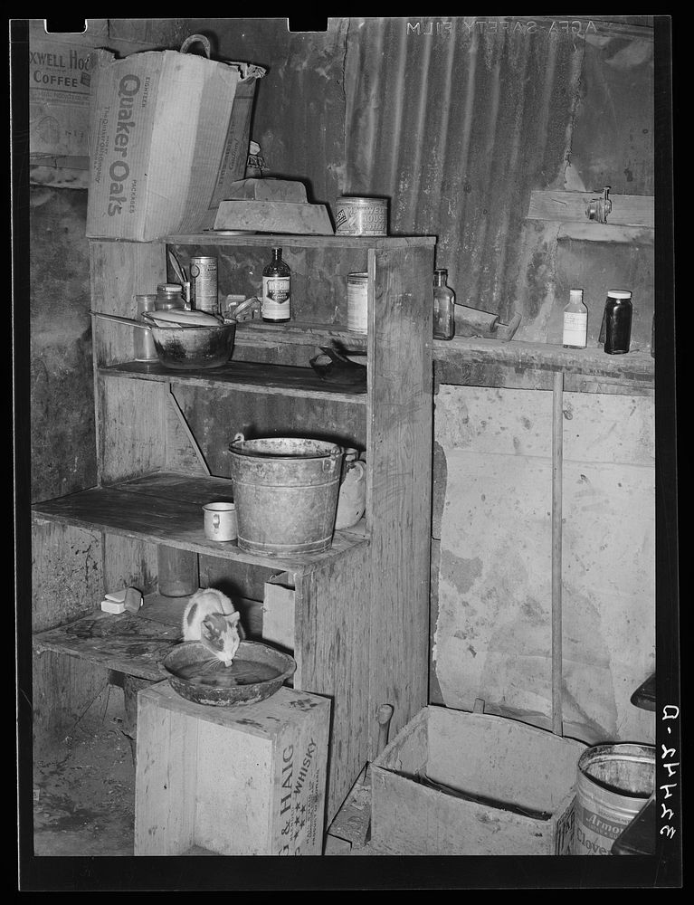 Corner of kitchen with cat drinking from wash pan. Mexican home, San Antonio, Texas by Russell Lee