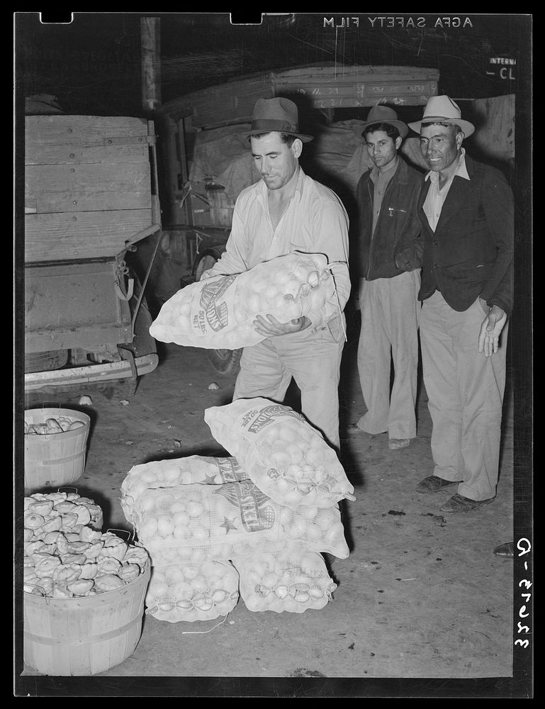 Stacking sacks of onions in front of commission house. Early morning market, San Antonio, Texas by Russell Lee