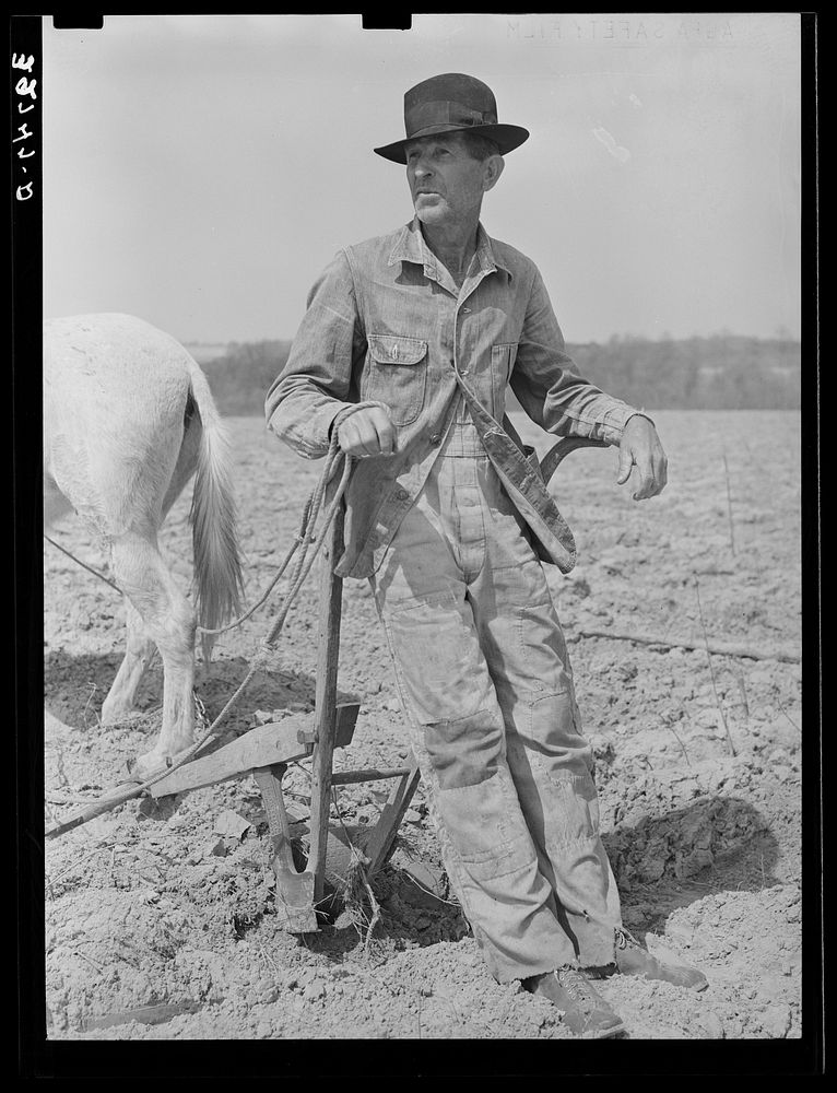 Tenant farmer on thirds and fourths near Marshall, Texas by Russell Lee