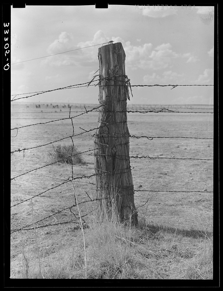 Corner post on barbed wire fence. Ranch near Marfa, Texas by Russell Lee