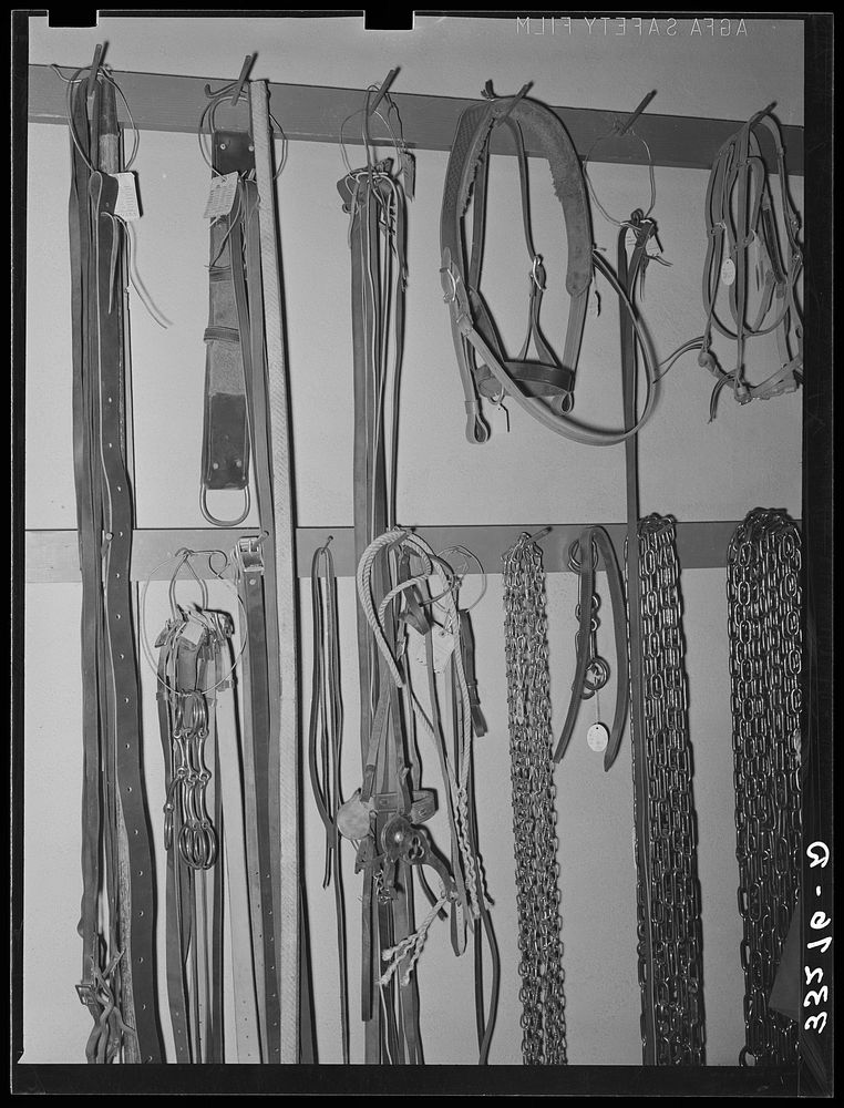 Cinch straps, bits, halters and chains in ranch supply store. Alpine, Texas by Russell Lee