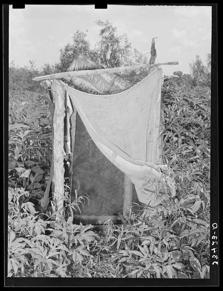 Privy of agricultural day laborers living in the Arkansas River bottom near Webbers Falls, Oklahoma. Muskogee County by…