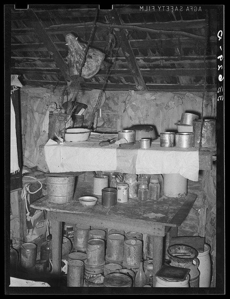 Scene in kitchen of home of  farm owner in Arkansas River bottoms. Near Vian, Oklahoma by Russell Lee