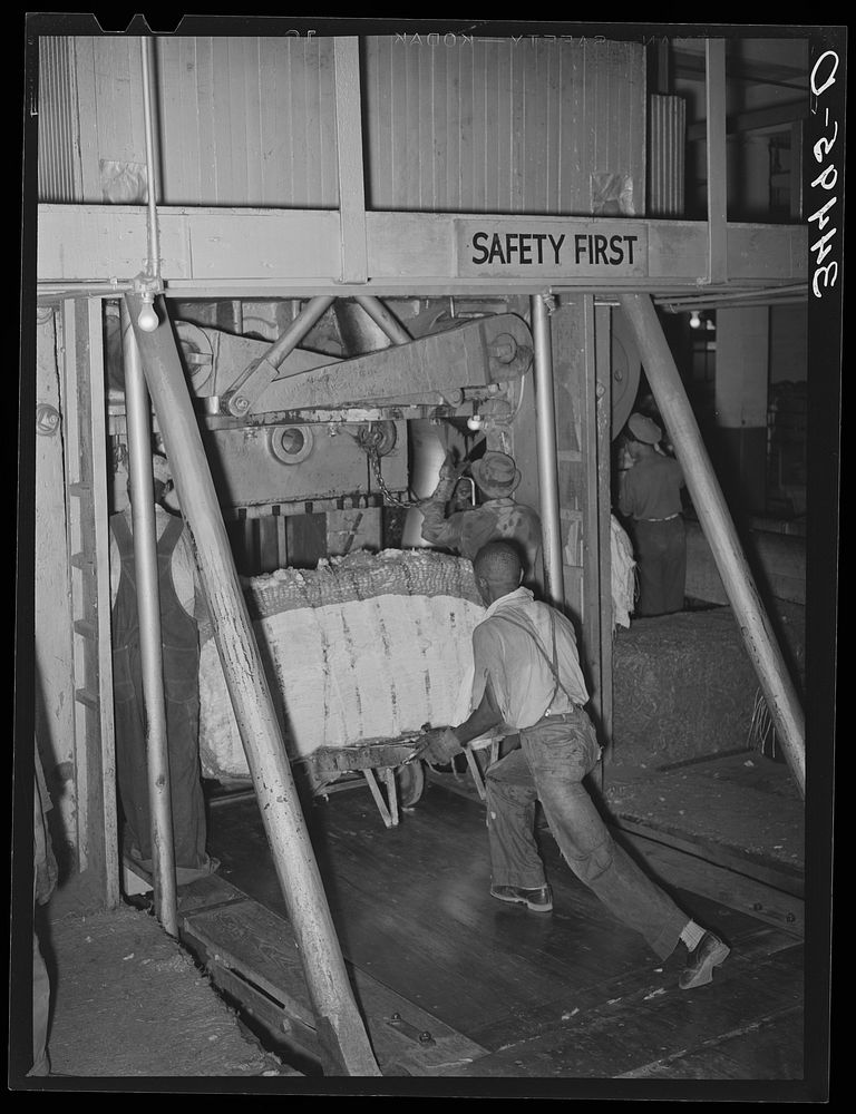 Placing bale of cotton into compressing unit. Compress, Houston, Texas. After going through the compress the bale of cotton…