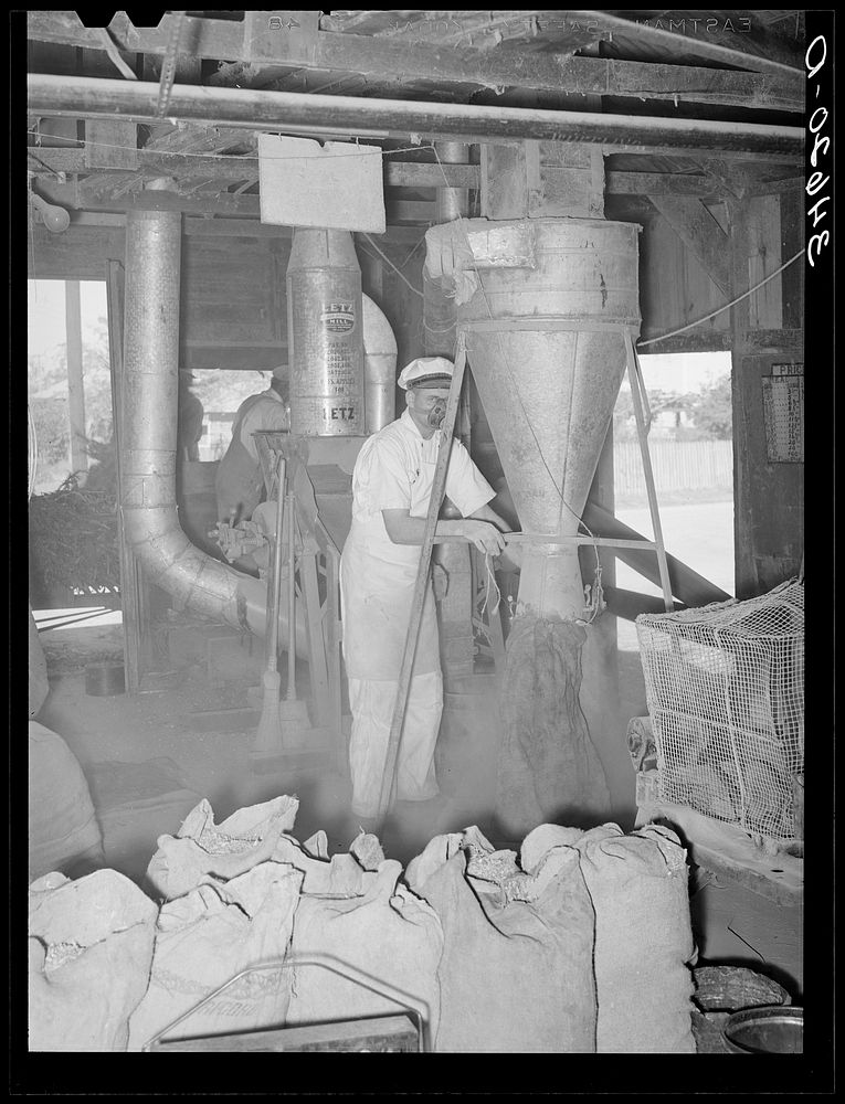 Proprietor of feed mill at hopper where ground feed pours into sack. Taylor, Texas by Russell Lee