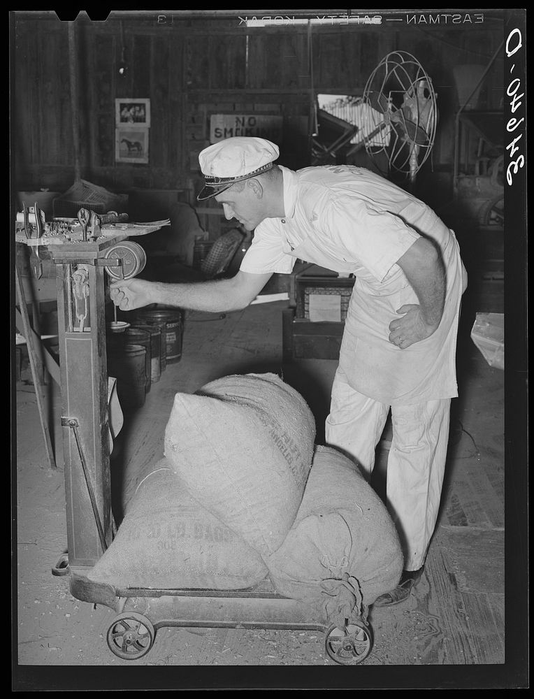 Proprietor of feed mill weighing sacks of feed. Taylor, Texas by Russell Lee