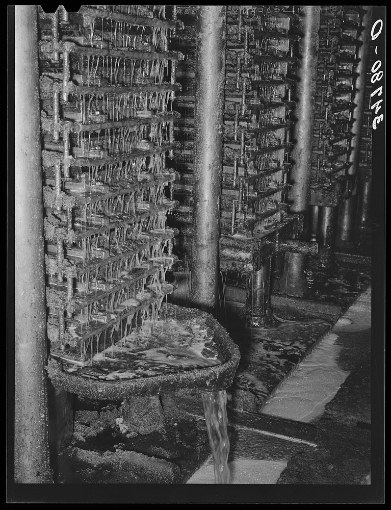 Cotton seed oil running from hydraulic presses. Cotton seed oil mill. McLennan County, Texas by Russell Lee
