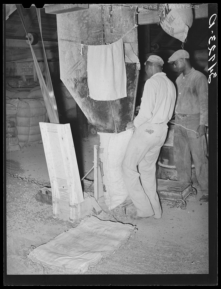 Filling sacks with cotton seed meal. Cotton seed oil mill. McLennan County, Texas by Russell Lee