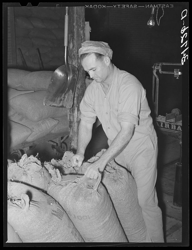 Worker at peanut-shelling plant. Comanche, Texas by Russell Lee
