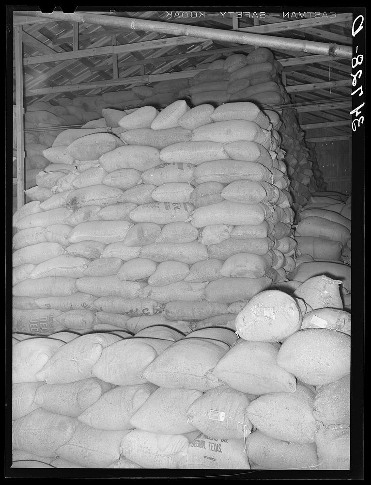 Feed made from peanut shells and strap molasses in storage at peanut-shelling plant. Comanche, Texas by Russell Lee