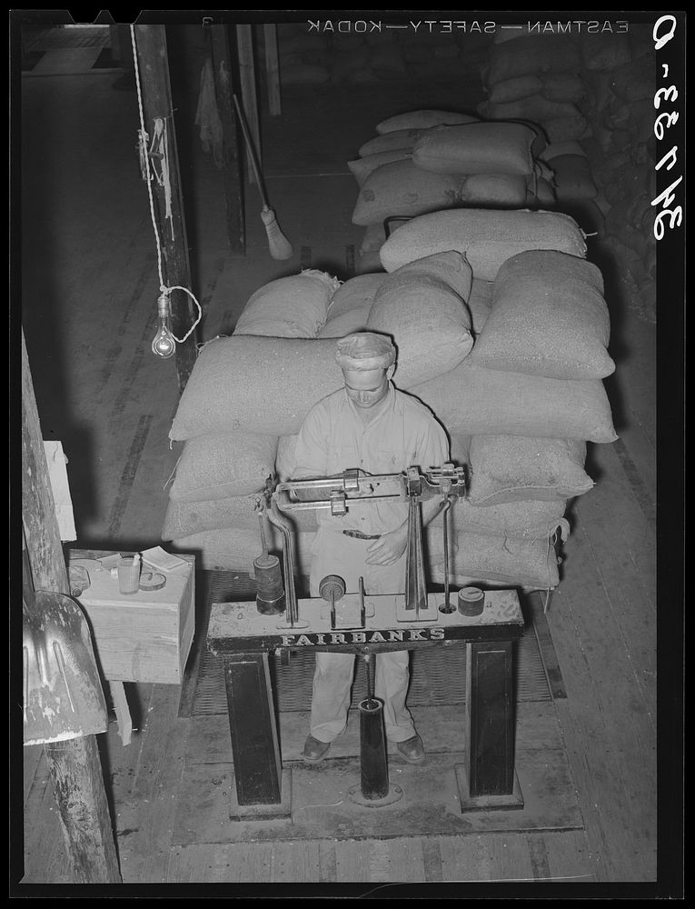 [Untitled photo, possibly related to: Worker at peanut-shelling plant. Comanche, Texas] by Russell Lee