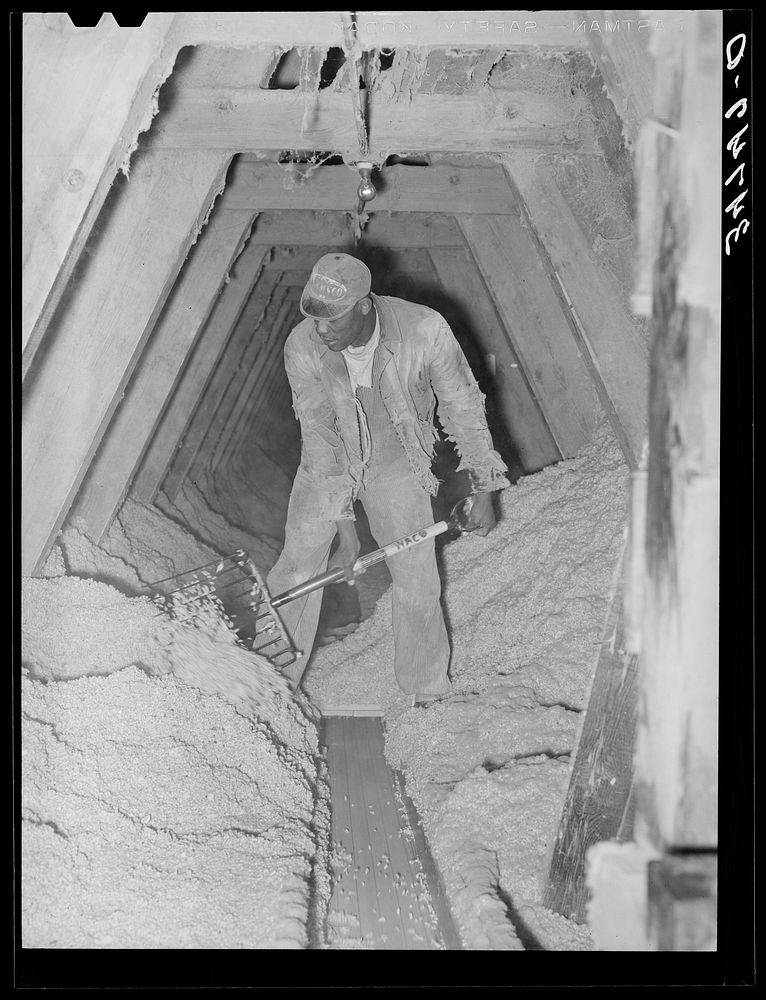 Pushing cotton seed onto conveyor. Cotton seed oil mill. McLennan County, Texas by Russell Lee