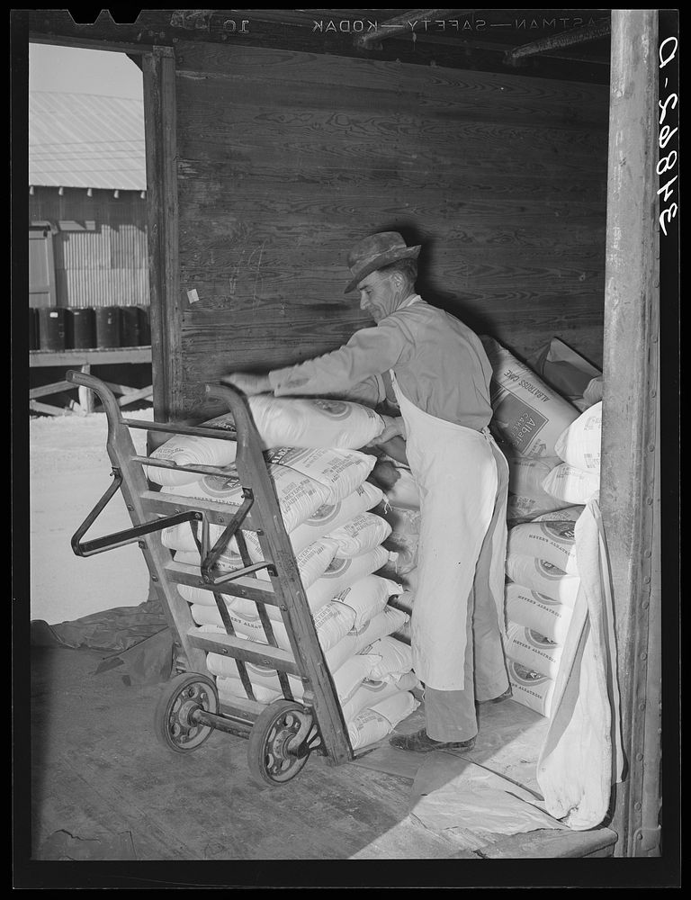 Unloading carload of flour. Wholesale grocery, San Angelo, Texas by Russell Lee