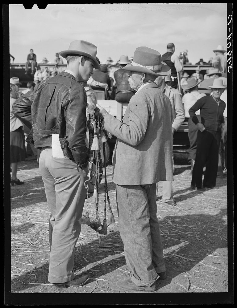 Texans Palomino horse auction. El Free Photo rawpixel