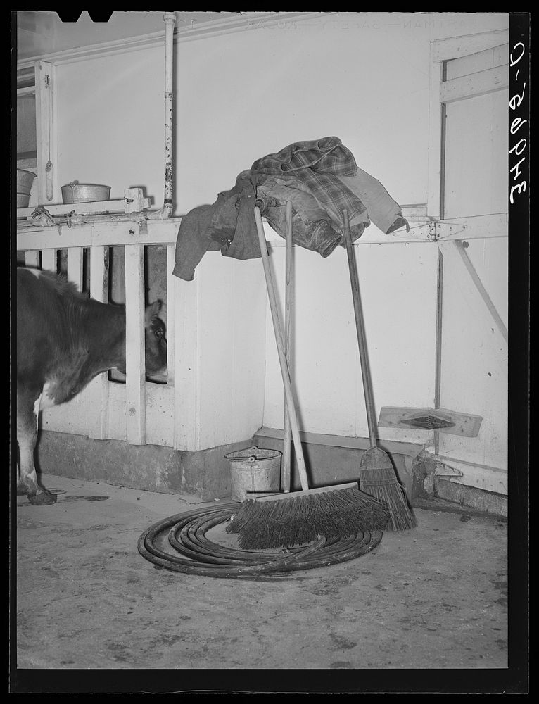 Equipment in milking house of large dairy. Tom Green County, Texas by Russell Lee