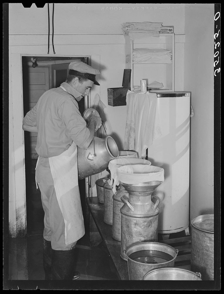 Straining milk at large dairy in Tom Green County, Texas by Russell Lee