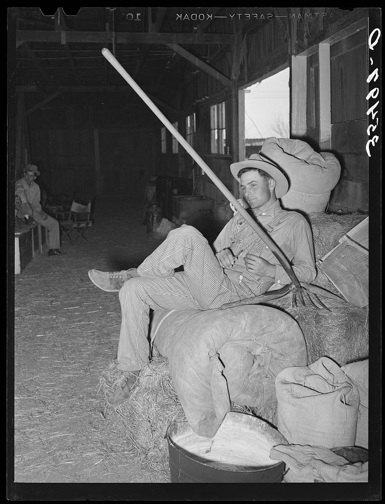 Cowboy resting on hay and rolled up camp bed at the barn at San Angelo Fat Stock Show. San Angelo, Texas by Russell Lee