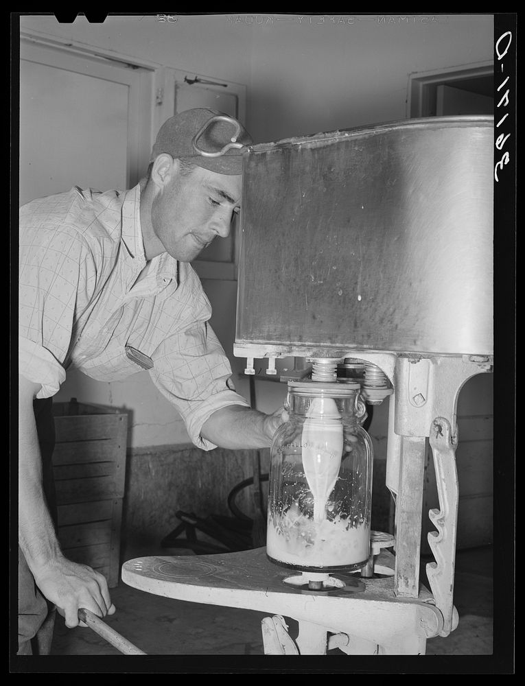 [Untitled photo, possibly related to: Member filling gallon bottles of milk at the dairy of the Arizona part-time farms.…